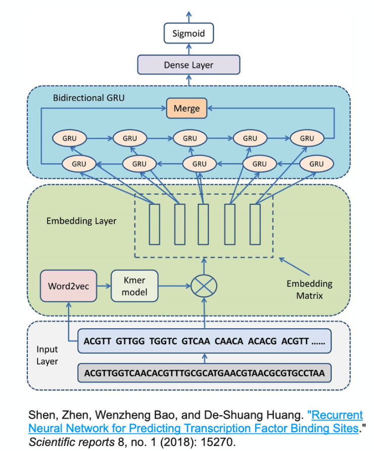 DNA sequence modelling [source link](https://www.nature.com/articles/s41598-018-33321-1)